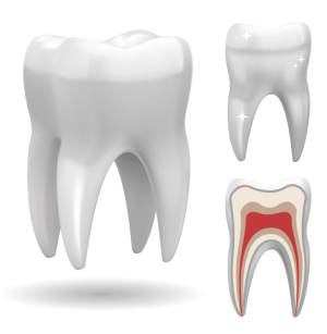 <a style="color:#000;text-decoration:none;" href="https://dentalfirst.care/en/services/#endodontics-7">Endodontics</a>